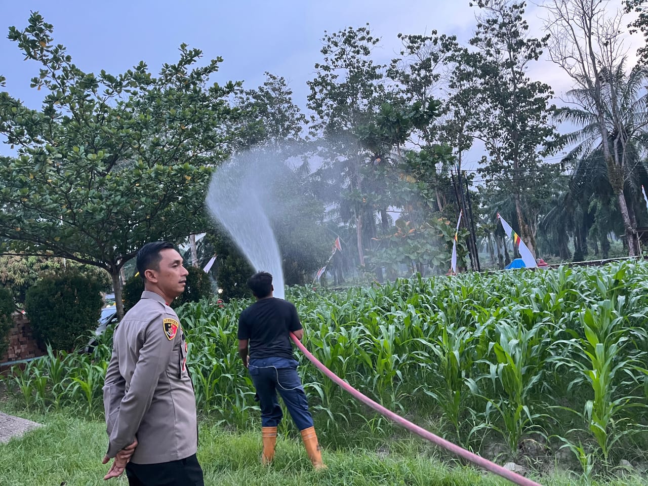 Kapolsek Kota Kisaran Laksanakan Penyiraman Lahan Tanaman Jagung