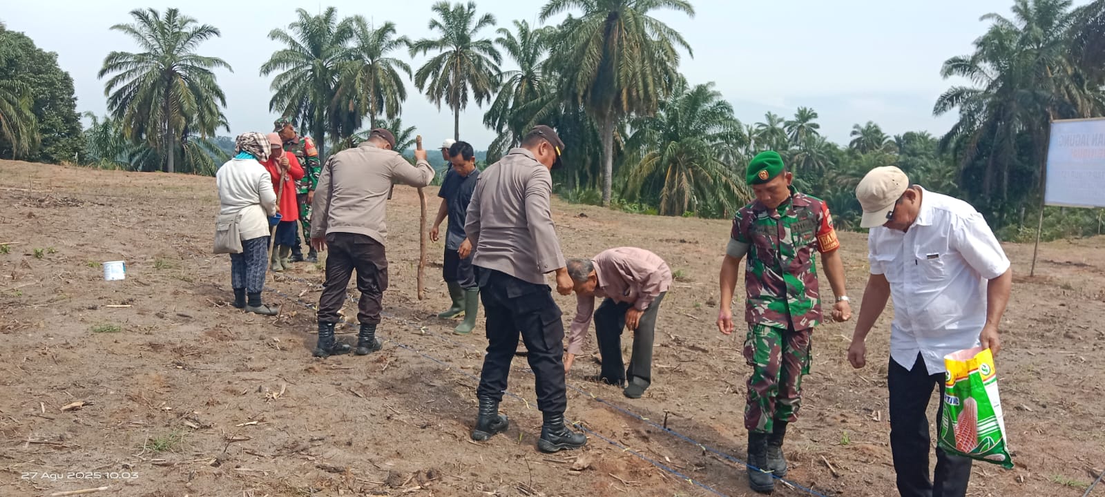 Polsek Bandar Pulau Polres Asahan Gelar Penanaman Jagung Dukung Ketahanan Pangan Nasional